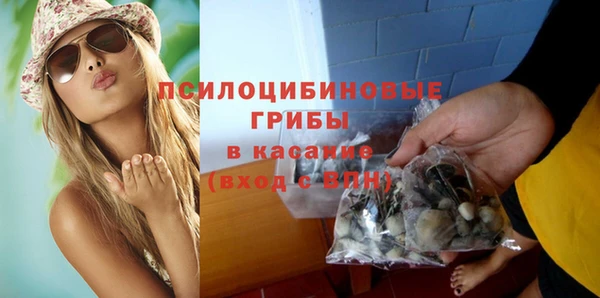 меф Вяземский