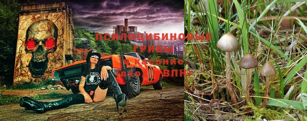 меф Вяземский